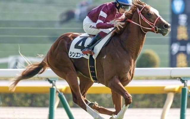 弥生賞ディープ記念など3重賞/今週の競馬界の見どころ