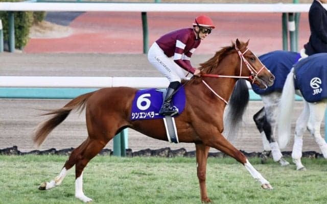 【弥生賞登録馬】シンエンペラーなど12頭