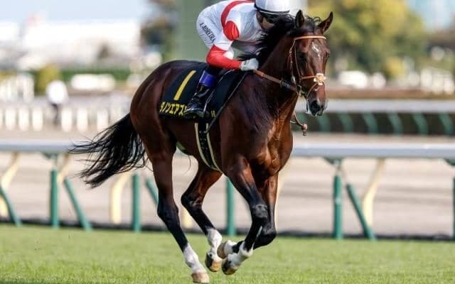 【弥生賞見どころ】決め手鋭いダノンエアズロックが中心