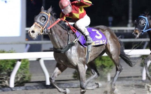 【高知・レジーナディンヴェルノ賞】ミニョンが3馬身差完勝…山崎「馬の力で勝てた」