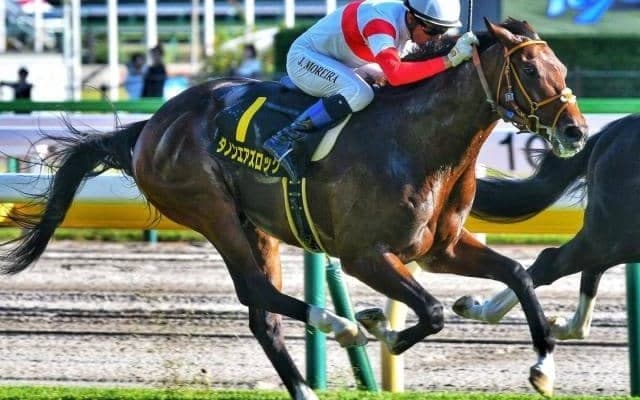 セレクト4.5億円の良血馬 弥生賞で史上最高額のJRA重賞ウイナーになるか