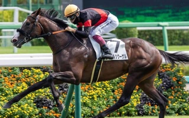 同舞台の皐月賞とは求められる適性がまるで逆!? 弥生賞の傾向にぴったりの穴馬発見