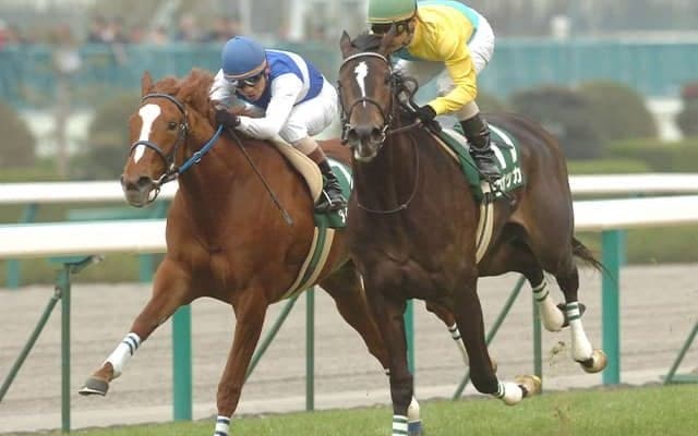 いよいよトライアル開幕！ 皐月賞＆桜花賞につながるレースと優先出走権をおさらい