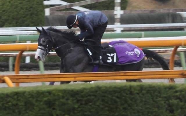 アドマイヤテラなど、先週の入厩情報/栗東トレセンニュース