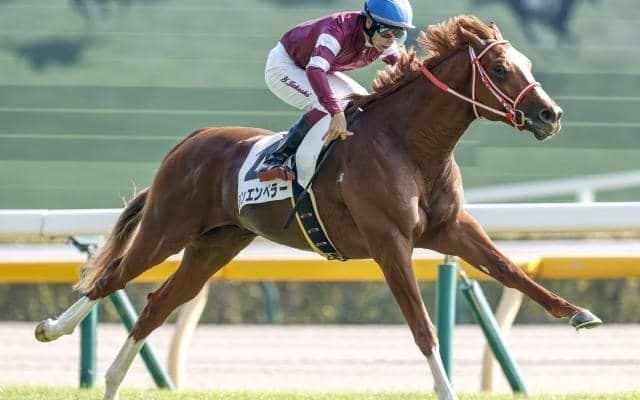 【弥生賞予想オッズ】シンエンペラーが予想1番人気