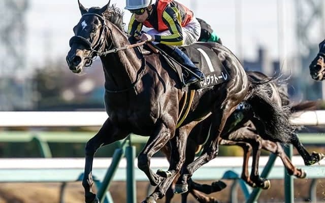 中山芝2000mで2戦2勝 良血レイデオロ産駒が弥生賞無敗V狙う