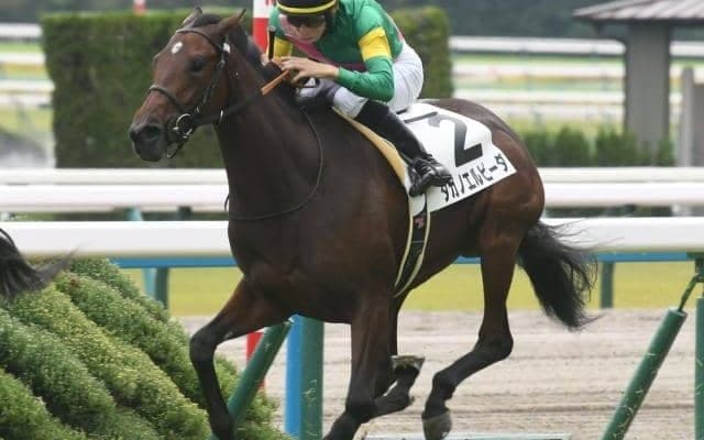 【チューリップ賞予想オッズ】タガノエルピーダが予想1番人気