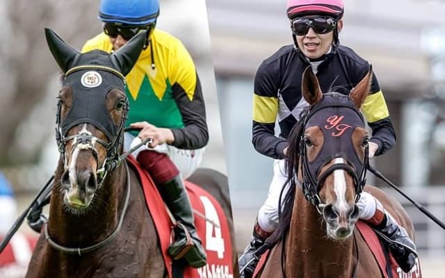 弥生賞攻略のヒントは“菊の大輪”の香り 皐月賞トライアルだが実は…