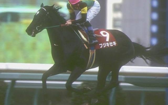 サンデーサイレンス初年度産駒の“幻の三冠馬” 4戦無敗でターフを去った95年弥生賞覇者