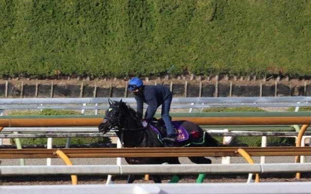 ジャスティンパレス、ドバイSC追い切り速報/栗東トレセンニュース