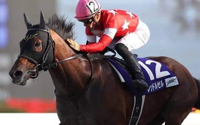 21年JBCスプリント覇者レッドルゼルが登録抹消 今後はイーストスタッドで種牡馬入り