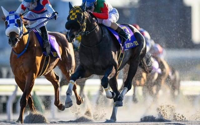 【大井・フジノウェーブ記念結果】ギャルダルが好位から押し切り連覇達成