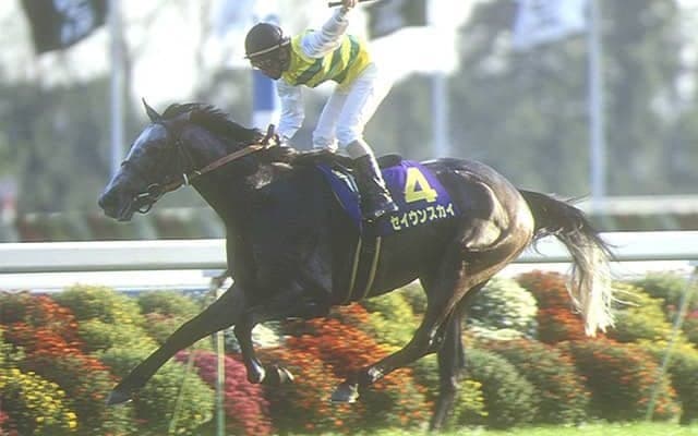 横山典弘騎手の“逃げ”神騎乗といえば？ セイウンスカイなどファンの声多数集まる