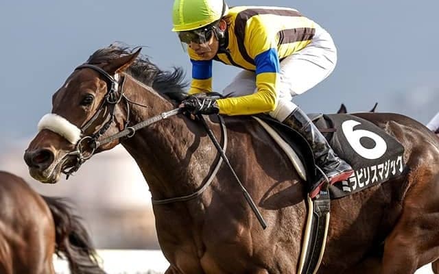 “名牝の宝庫”国枝厩舎の注目馬 名繁殖ソーマジックの仔がチューリップ賞に