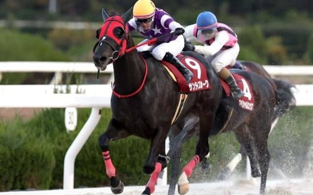 【名古屋・かきつばた記念注目馬】重賞連勝中のサンライズホークか、悲願のDG競走初制覇狙うスマイルウィか