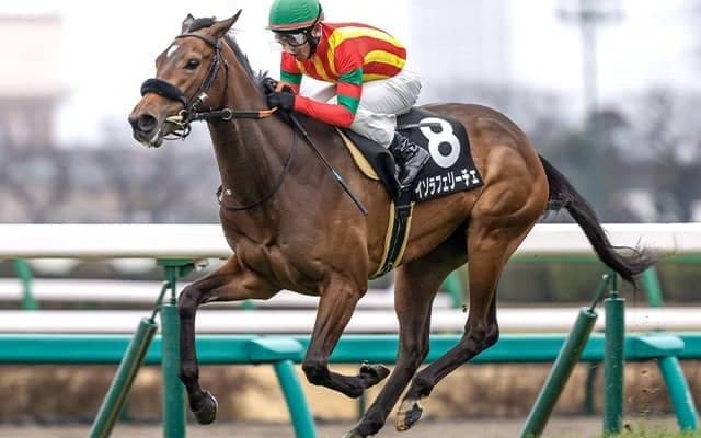 エフフォーリアの半妹は桜花賞を見送り 兄妹クラシック制覇に向けオークストライアルを目指す