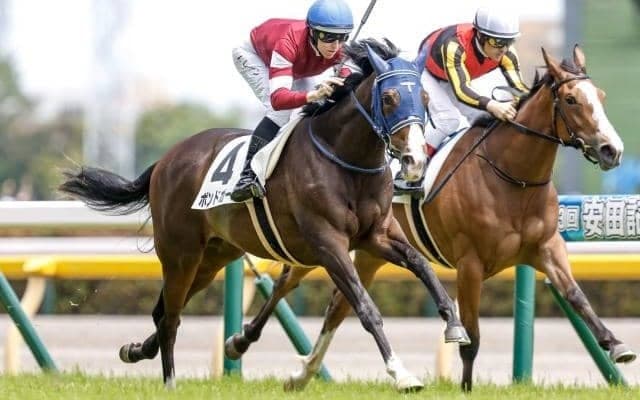 ウマ娘・藤田晋氏所有の2億円馬 ニュージーランドTで重賞初制覇を狙う