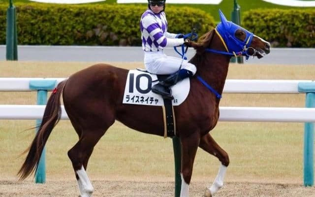 ナイスネイチャ主戦・松永昌師のラストウィーク ライスネイチャの劇的Vなるか