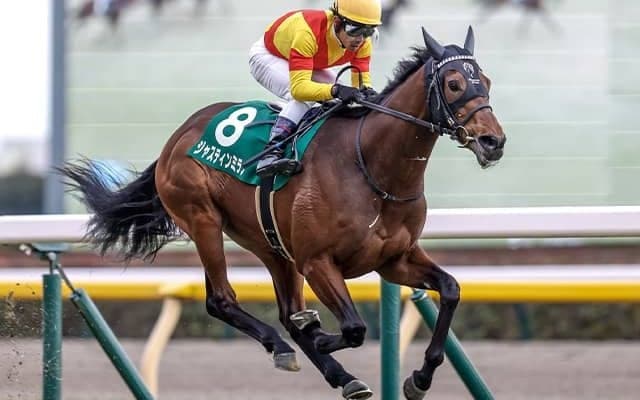 ジャスティンミラノの英ダービーに登録に英ジョッキークラブがコメント「歴史的な日になると信じています」