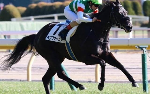 エフフォーリアの半妹ペリファーニア C.ルメール騎手とコンビ継続で2連勝なるか
