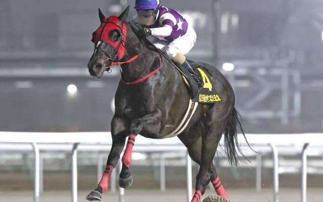 【名古屋・かきつばた記念結果】サンライズホークが逃げ切って交流重賞3連勝！