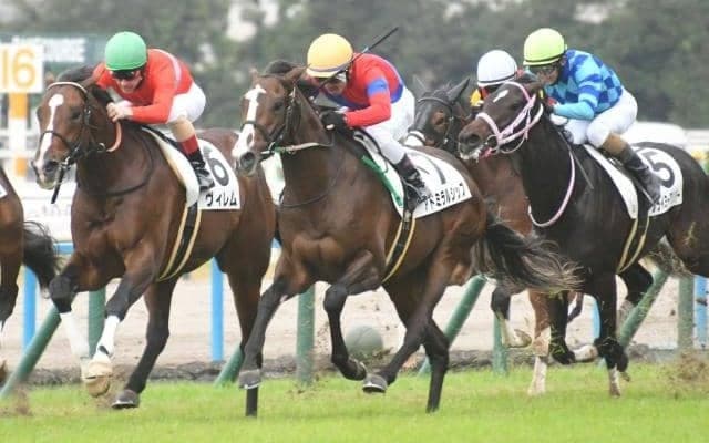 弥生賞で“3きょうだい重賞制覇”なるか 距離短縮で前走7着からの巻き返しV狙う