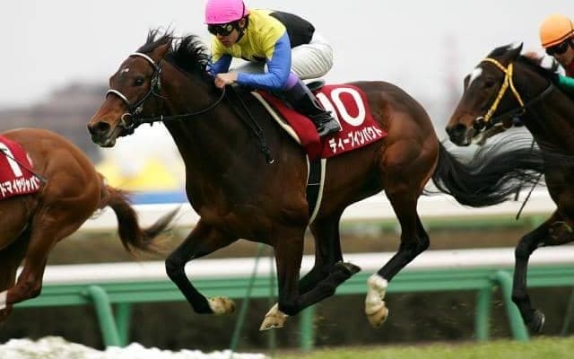 馬名がレース名につく基準は？ 弥生賞“ディープインパクト”記念を前に調べてみた