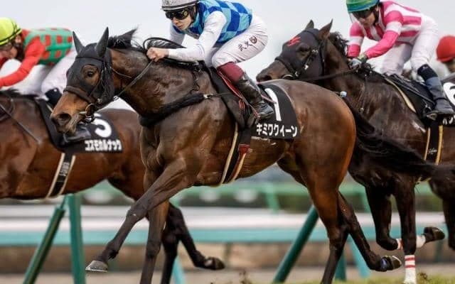 【オーシャンS枠順確定】キミワクイーンは6枠11番、トウシンマカオは8枠15番