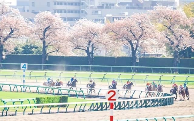 現役7人目のJRA女性騎手など 関東所属のJRA新人騎手4名は中山・小倉でデビュー