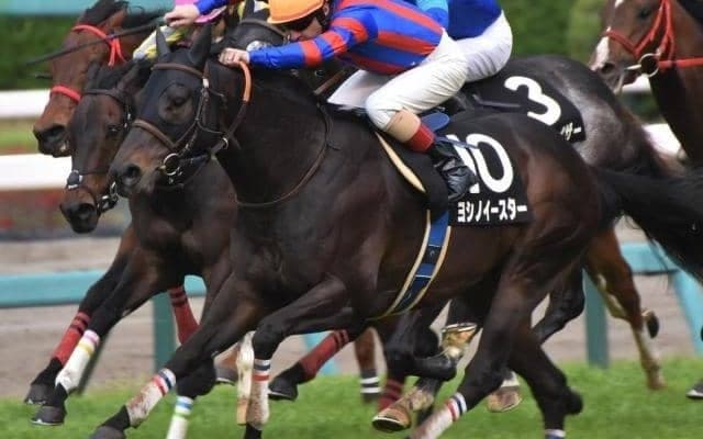 オーシャンSは人気馬が軒並み外枠…絶好2番枠のヨシノイースターに好機到来か