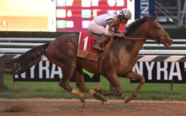 Yoshida産駒のJRA初勝利なるか 良血馬が土曜中山5Rに出走