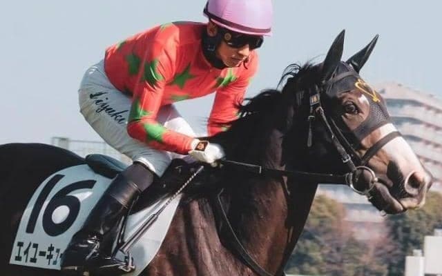 いとこにGI馬3頭の良血 エイユーキュートが初勝利なるか