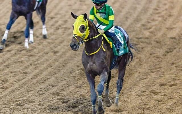 サウジカップデー遠征馬のうち12頭が帰国 ウシュバテソーロなど10頭はドバイへ移動