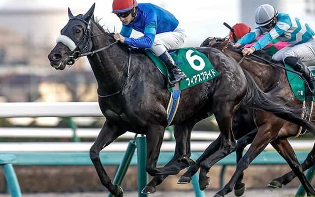 【中山牝馬S想定馬・騎手】フィアスプライド、ククナなど16頭