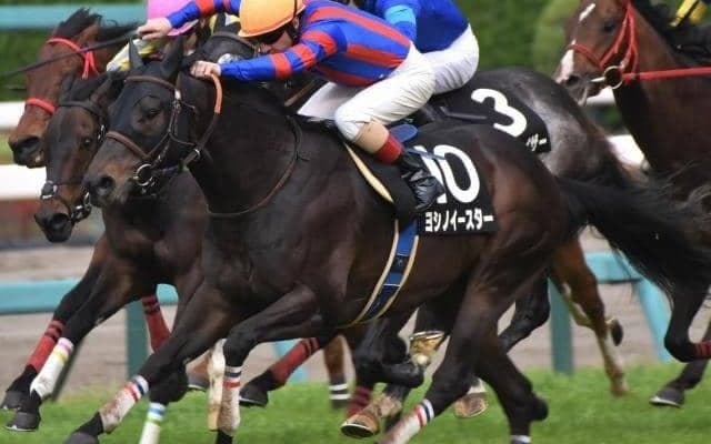 【オーシャンS予想】高松宮記念との関連性はやや希薄 当レースを狙ってきた馬を中心に狙う