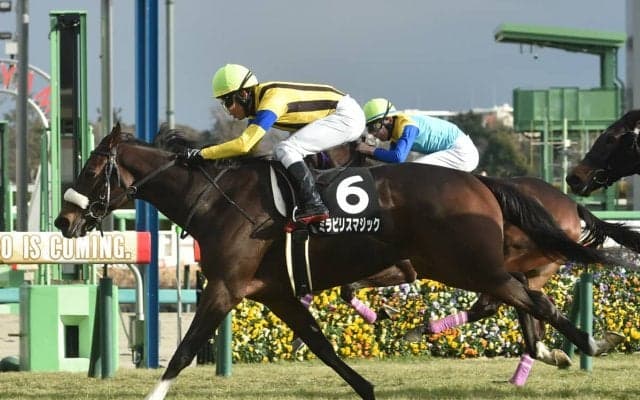 桜花賞の「最重要ステップレース」チューリップ賞で牝馬クラシック戦線へと羽ばたくのは？