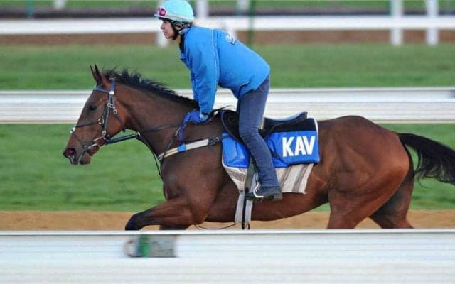 土曜1Rの「2/3」を引退調教師が勝利　ロードカナロア管理の名伯楽が“勝負の19頭”で金字塔へ