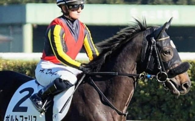 祖母はエアグルーヴ “日本屈指の名牝系”出身のポルトフェリスが初勝利狙う