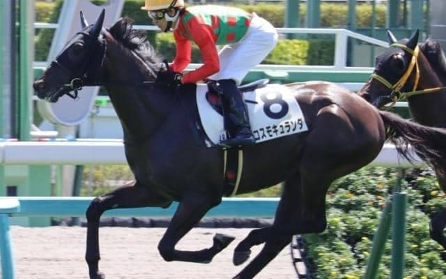 【弥生賞予想】前走勝利馬が7割の連対率！ 巻き返しは重賞組から