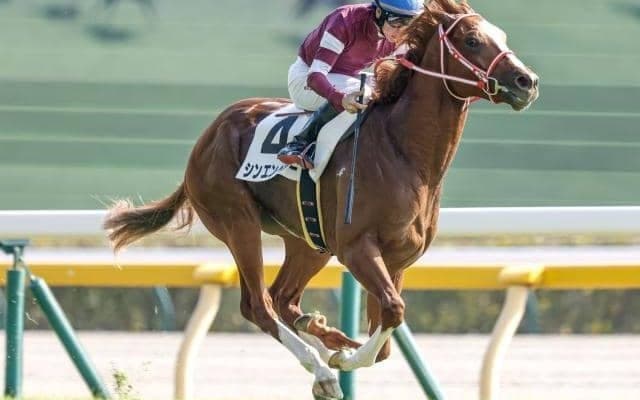 【今日の注目ポイント】クラシックへの登竜門・弥生賞と調教師7名が引退