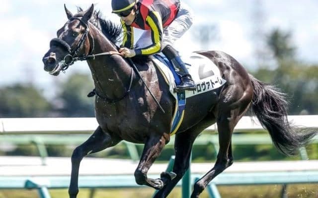 【弥生賞予想】皐月賞よりも日本ダービーにつながるレース さらに先を見据えた馬を狙うのが的中への近道？ 