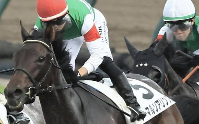 ひな祭りは牝馬に注目!? 3月3日に牡馬相手のオープンへと挑む“大和なでしこ”たち