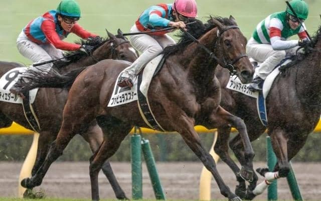 【弥生賞予想】パターンで狙える「枠」「前走」「脚質」は？ 過去10年データで探るGII弥生賞ディープインパクト記念