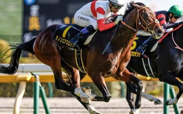 弥生賞当日の中山芝は外伸び ダノンエアズロックに枠の利あり