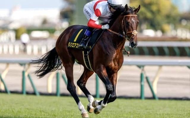 【弥生賞・馬体重】ダノンエアズロックは504kg(+18)、トロヴァトーレは496kg(+6)