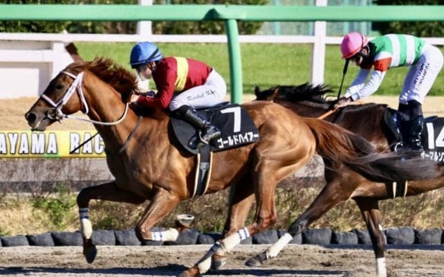【総武S】ゴールドハイアーがオープン初勝利…サーマルソアリングは2着敗退