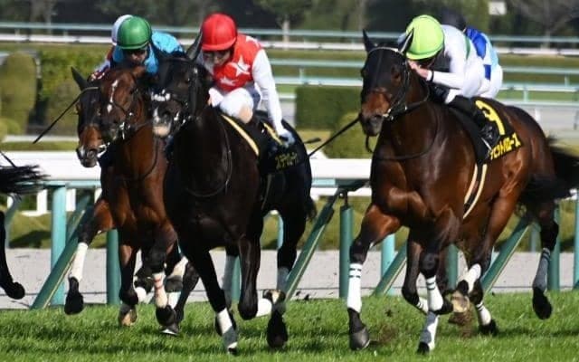 【大阪城S結果】ステラヴェローチェが叩き合いを制す 約2年5か月ぶりの復活V