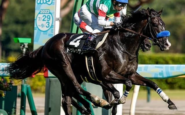 大阪杯の前哨戦・金鯱賞など4重賞/今週の競馬界の見どころ