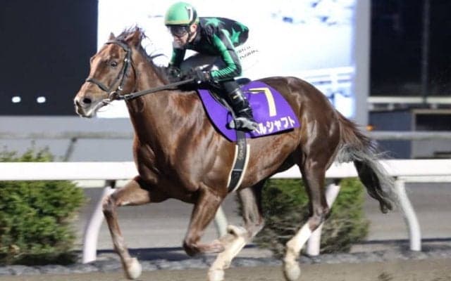 【高知・御厨人窟賞】ヘルシャフトが5馬身差圧勝…吉原「本格化して良かった」