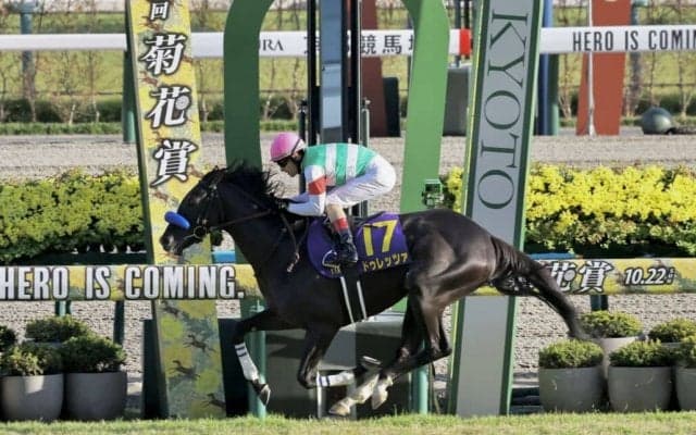 【金鯱賞登録馬】菊花賞馬ドゥレッツァなど15頭